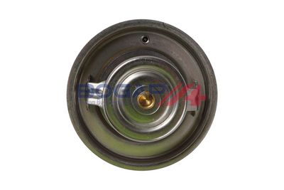 TERMOSTAT LICHID RACIRE BOGAP A4245144 3