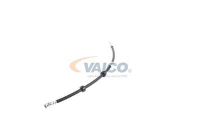 FURTUN FRANA VAICO V104226 18