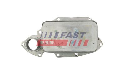 RADIATOR ULEI ULEI MOTOR FAST FT55425 2