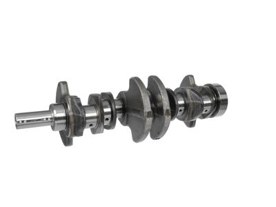 ARBORE COTIT ET ENGINETEAM HK0130 15