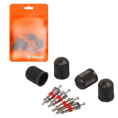 Комплект золотников, сервисный нипель Airline ATRS009