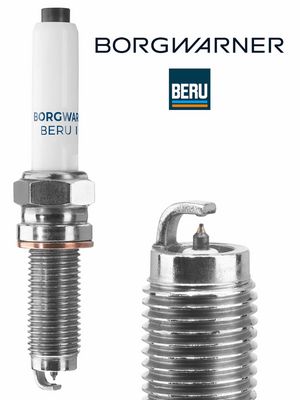 BUJII BorgWarner (BERU) Z534