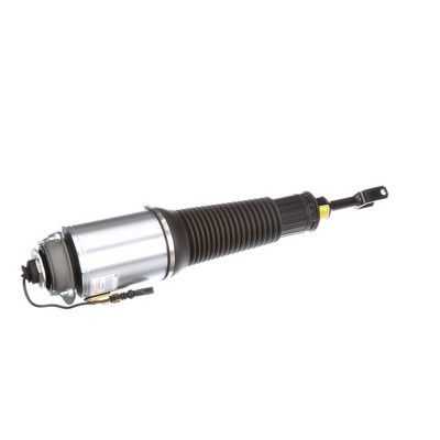 LUFTFEDERBEIN Arnott AS2778 50