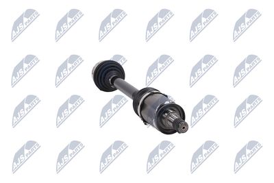 PLANETARA NTY NPWBM251 31