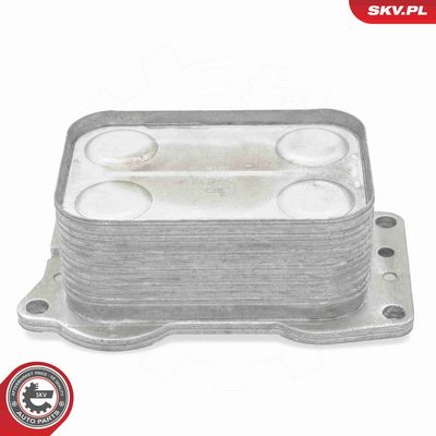 RADIATOR ULEI ULEI MOTOR ESEN SKV 31SKV308 2