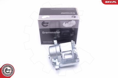 Brake Caliper 46SKV082