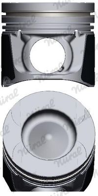 KOLBEN NÜRAL 8742200700