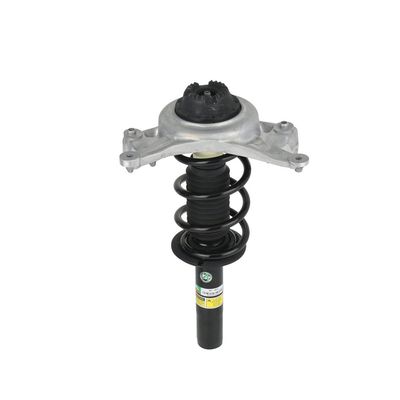 AMORTIZOR Arnott SK3842 29