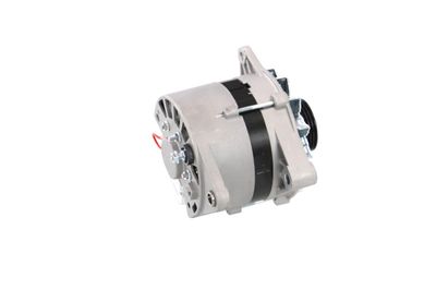 GENERATOR / ALTERNATOR REMANTE 011003000065R 43