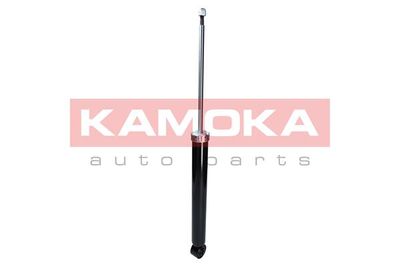 Shock Absorber 2000994