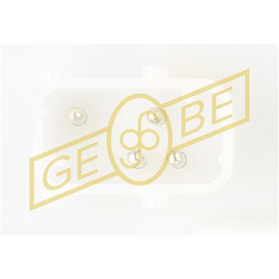 SISTEM ALIMENTARE CU COMBUSTIBIL GEBE 960511 2