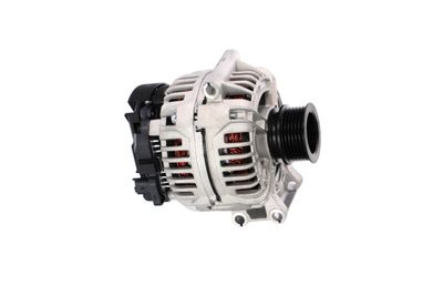 GENERATOR / ALTERNATOR REMANTE 011003000335R 49