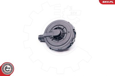 Valve, crankcase ventilation 31SKV021