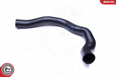 FURTUN EAR SUPRAALIMENTARE