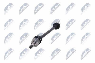 PLANETARA NTY NPWFR189 38