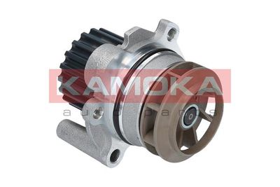 Water Pump, engine cooling T0027