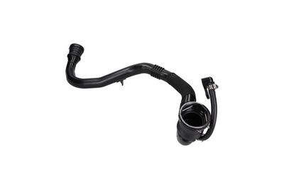 FURTUN EAR SUPRAALIMENTARE