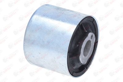 RULMENT DIFERENTIAL BIRTH 20031 5