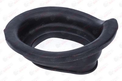 SAIBA ARC BIRTH 56745 7