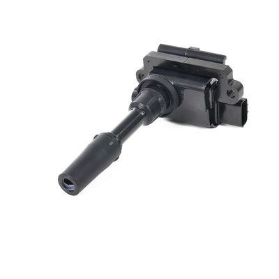 ZüNDSPULE DELPHI GN1030212B1 21