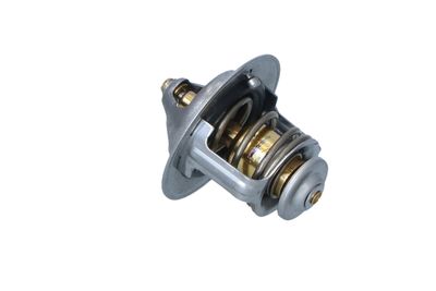 TERMOSTAT LICHID RACIRE NRF 725233 17