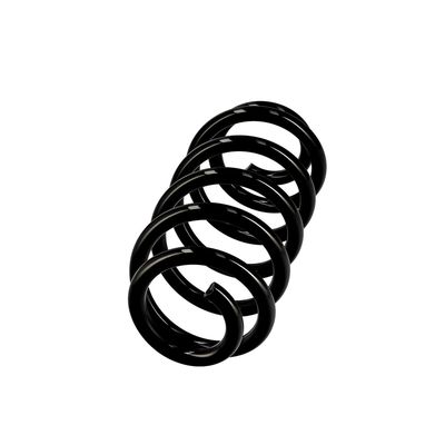 ARC SPIRAL EIBACH R10137 14
