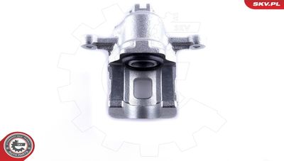 Brake Caliper 55SKV084