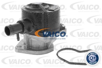 VAICO V46-0240 Вакуумный насос  для RENAULT TRAFIC (Рено Трафик)