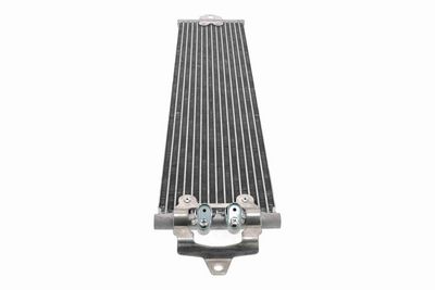RADIATOR RACIRE ULEI CUTIE DE VITEZE AUTOMATA VEMO V10600043 6
