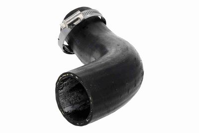 FURTUN EAR SUPRAALIMENTARE ACKOJA A520873 4