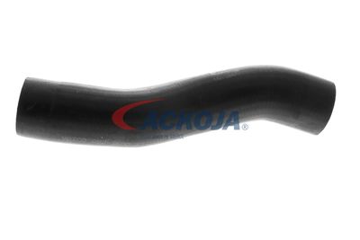 FURTUN EAR SUPRAALIMENTARE ACKOJA A529600 58
