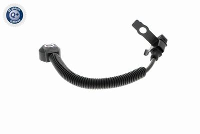 SENOR BATAI VEMO V52720097 12