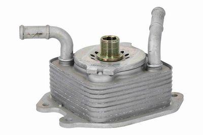 RADIATOR ULEI ULEI MOTOR ACKOJA A38600024 2