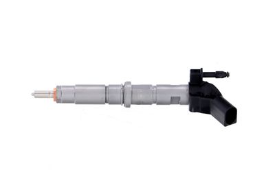INJECTOR REMANTE 002003000165R 10