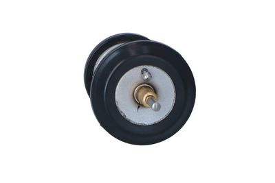 TERMOSTAT LICHID RACIRE NRF 725250 43