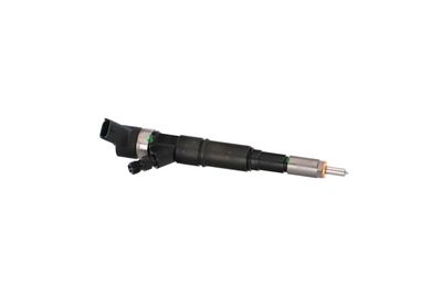 INJECTOR REMANTE 002003001174R 41