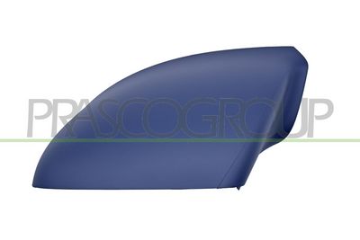 ACOPERIRE OGLINDA EXTERIOARA