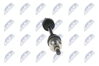 PLANETARA NTY NPWPE025 33