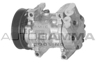 AUTOGAMMA 108015 Компрессор кондиционера для RENAULT CLIO II (BB_, CB_) 1.9 dTi (B/CB0U)