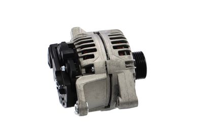 GENERATOR / ALTERNATOR REMANTE 011003000011R 42