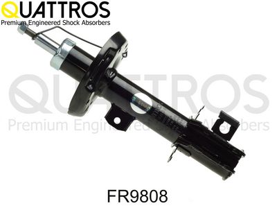 Amortyzator DAVID VASCO FR9808