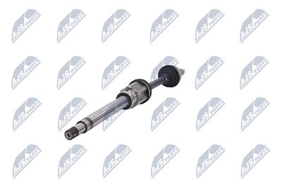 PLANETARA NTY NPWFR076 36