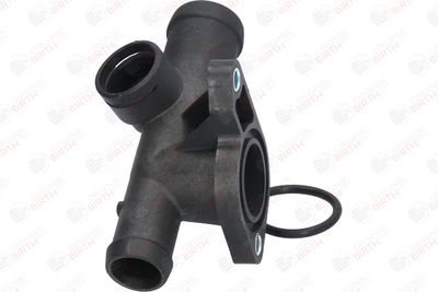 FLANSA LICHID RACIRE BIRTH 8394 5