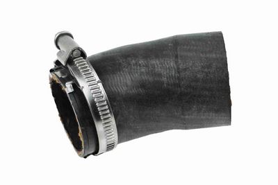 FURTUN EAR SUPRAALIMENTARE