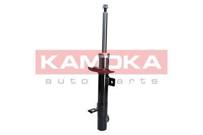 Shock Absorber 2000260