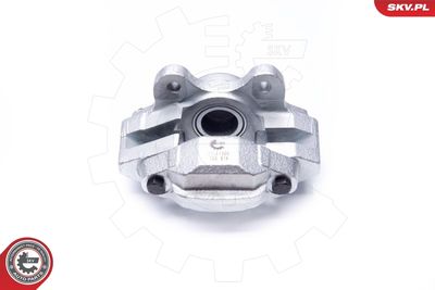 Brake Caliper 34SKV908