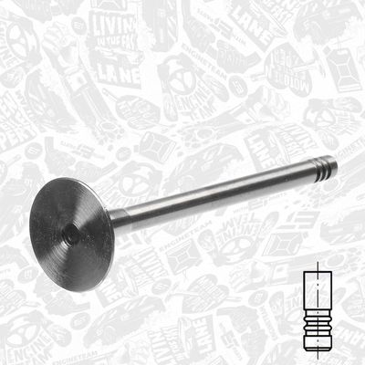 SUPAPA EVACUARE ET ENGINETEAM VE0070 1