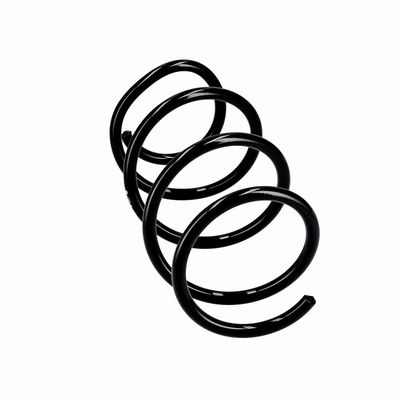 ARC SPIRAL EIBACH R10355 12