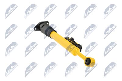 AMORTIZOR NTY ACH123 14