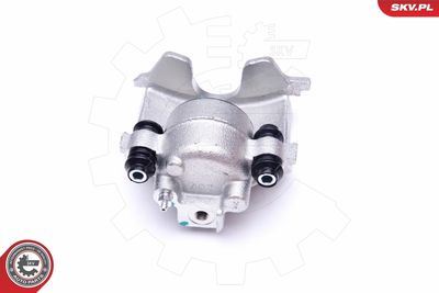 Brake Caliper 45SKV682